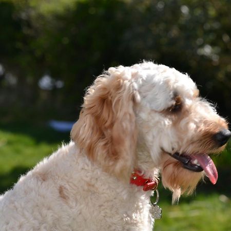 Burnbank Bnb Tobermory Zewnętrze zdjęcie