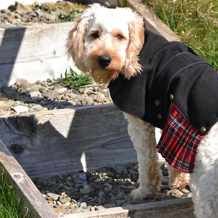 Burnbank Bnb Tobermory Zewnętrze zdjęcie