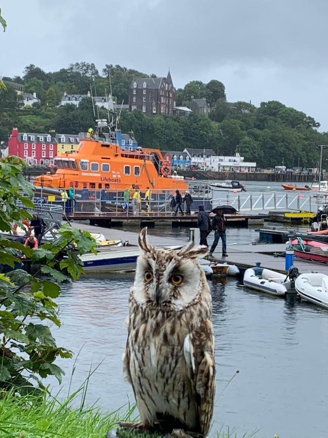 Burnbank Bnb Tobermory Zewnętrze zdjęcie