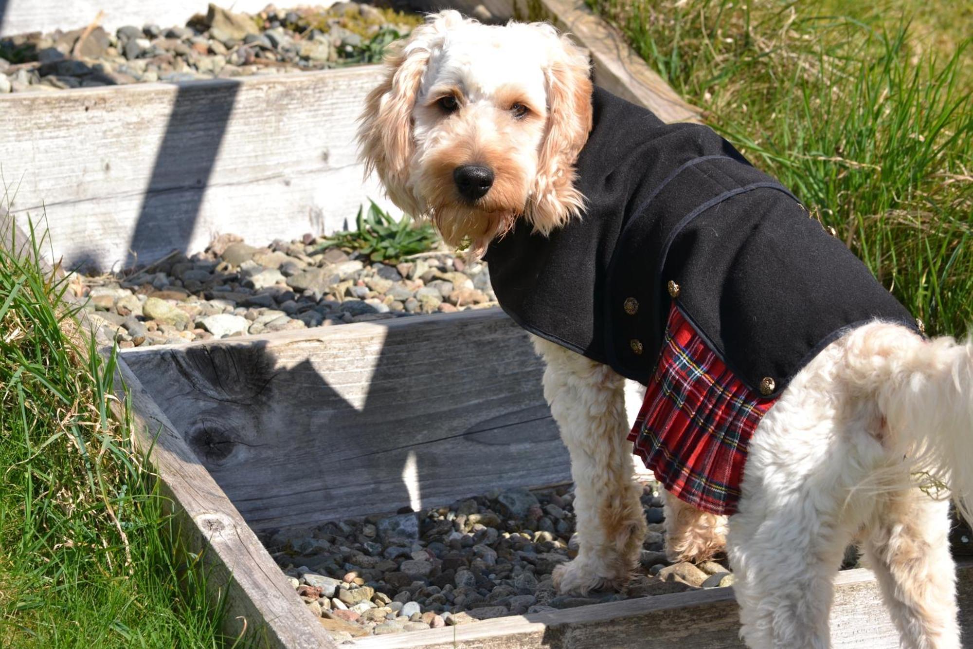 Burnbank Bnb Tobermory Zewnętrze zdjęcie
